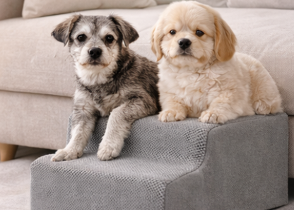 THE STAIRWAY: honden trapje voor de zetel of het bed